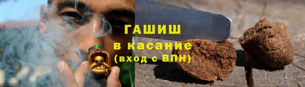 молекула духа Снежногорск