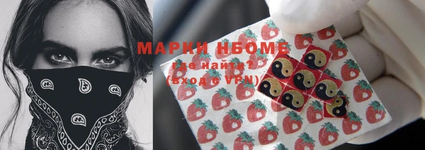 твердый Снежинск