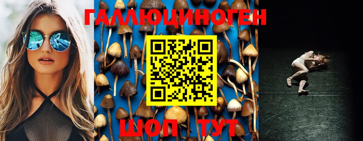 Псилоцибиновые грибы MAGIC MUSHROOMS  Галлюциногенные грибы Psilocybe  Вход с VPN  Великий Устюг 